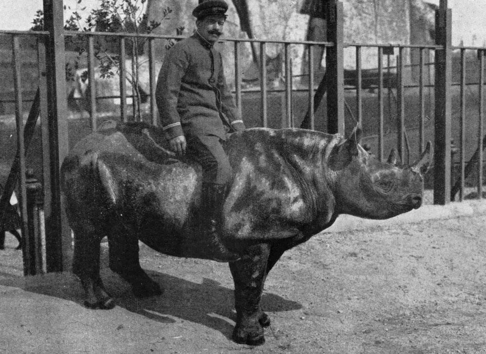 Rome 1911 — Rhino Resource Center