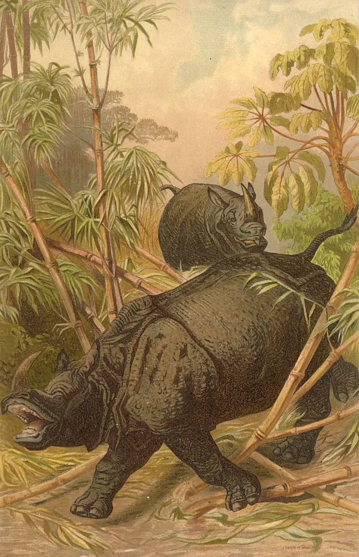Brehm 1869