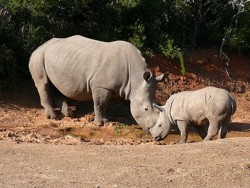 Shamwari, South Africa