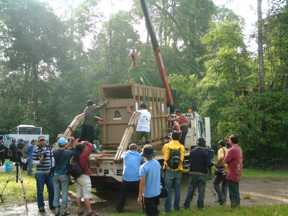 Andalas translocation