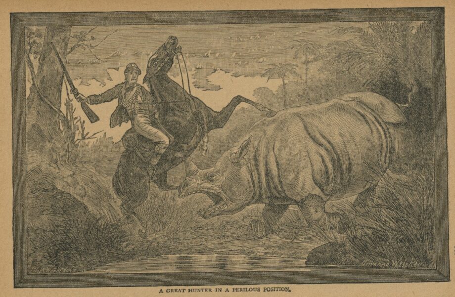 A great hunter in a perilous position