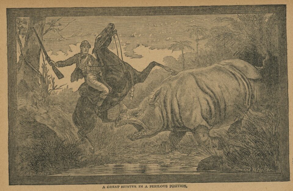 A great hunter in a perilous position