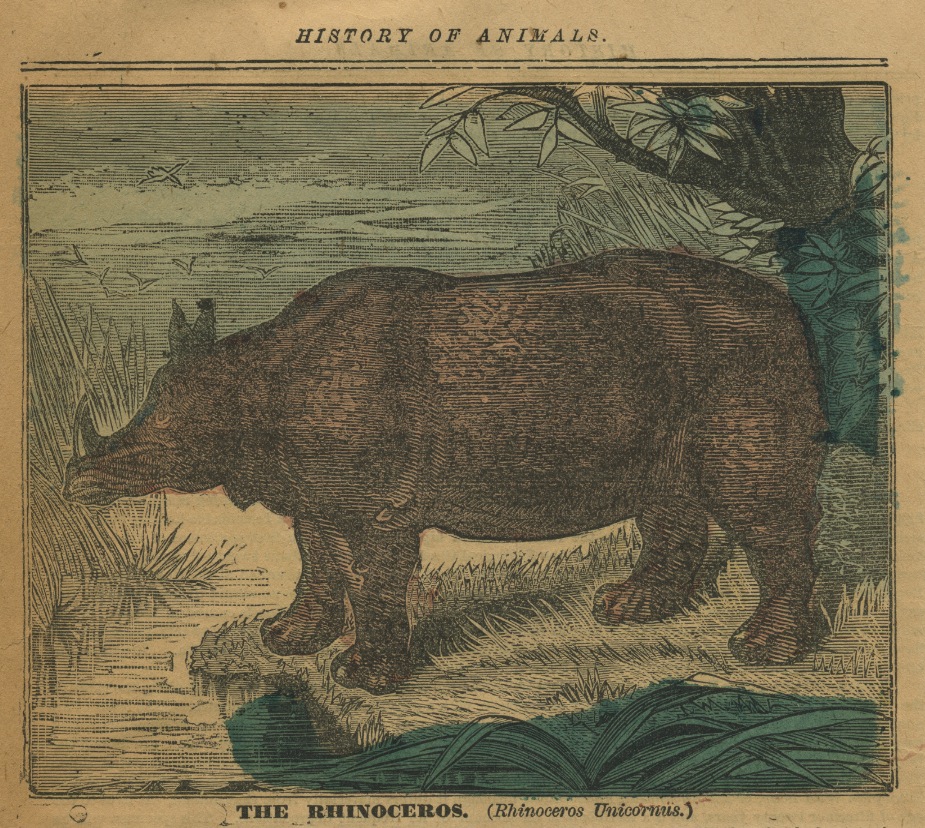 P.T.Barnum circus program