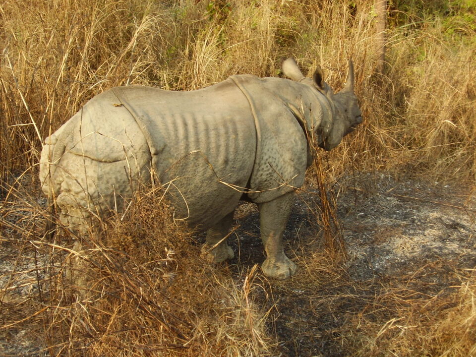 Chitwan 2007