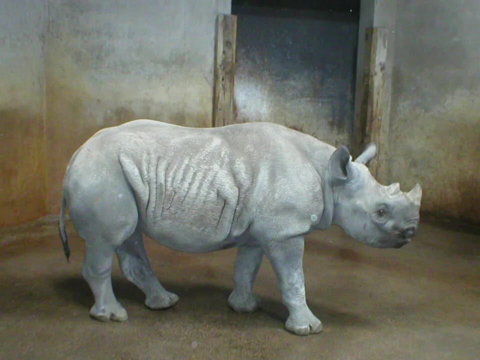 Sedwick County Zoo