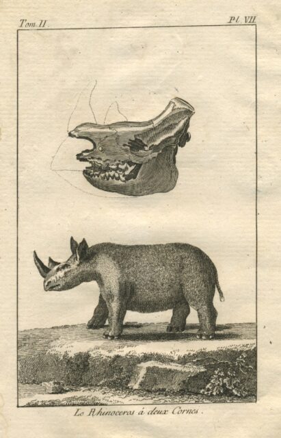 Capt.Cook’s Voyage au Cap de Bonne Esperance