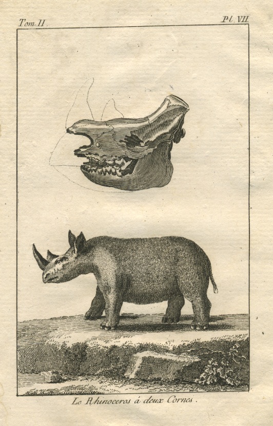 Capt.Cook's Voyage au Cap de Bonne Esperance