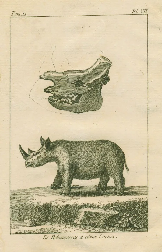 Capt.Cook’s Voyage au Cap de Bonne Esperance