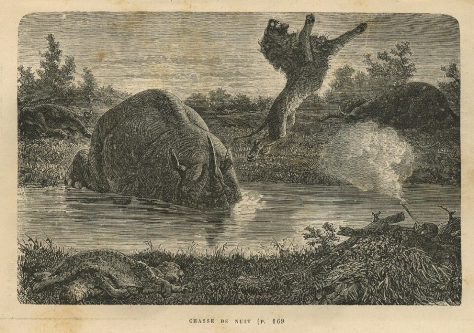 Baldwin’s African Hunting