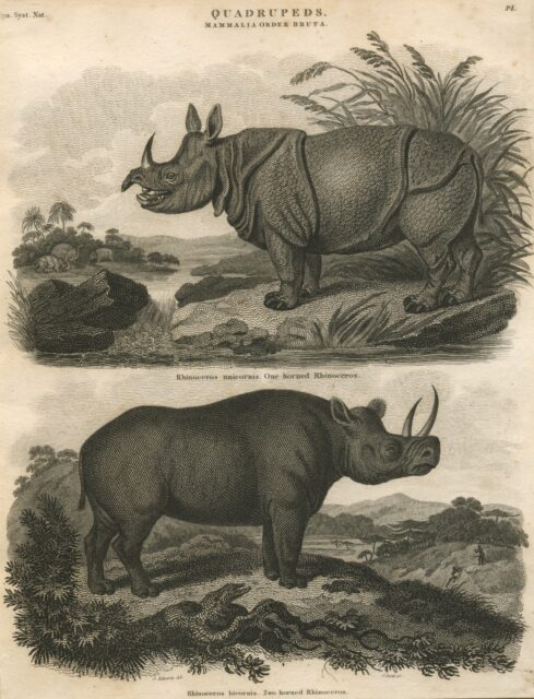 Abraham Rees 1802 Cyclopedia