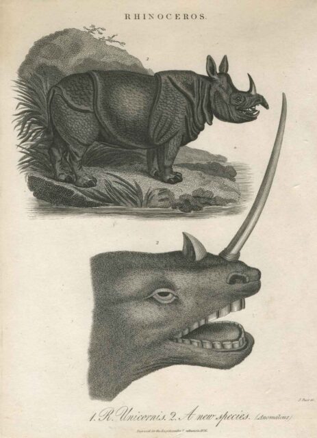 Cyclopaedia Londinensis