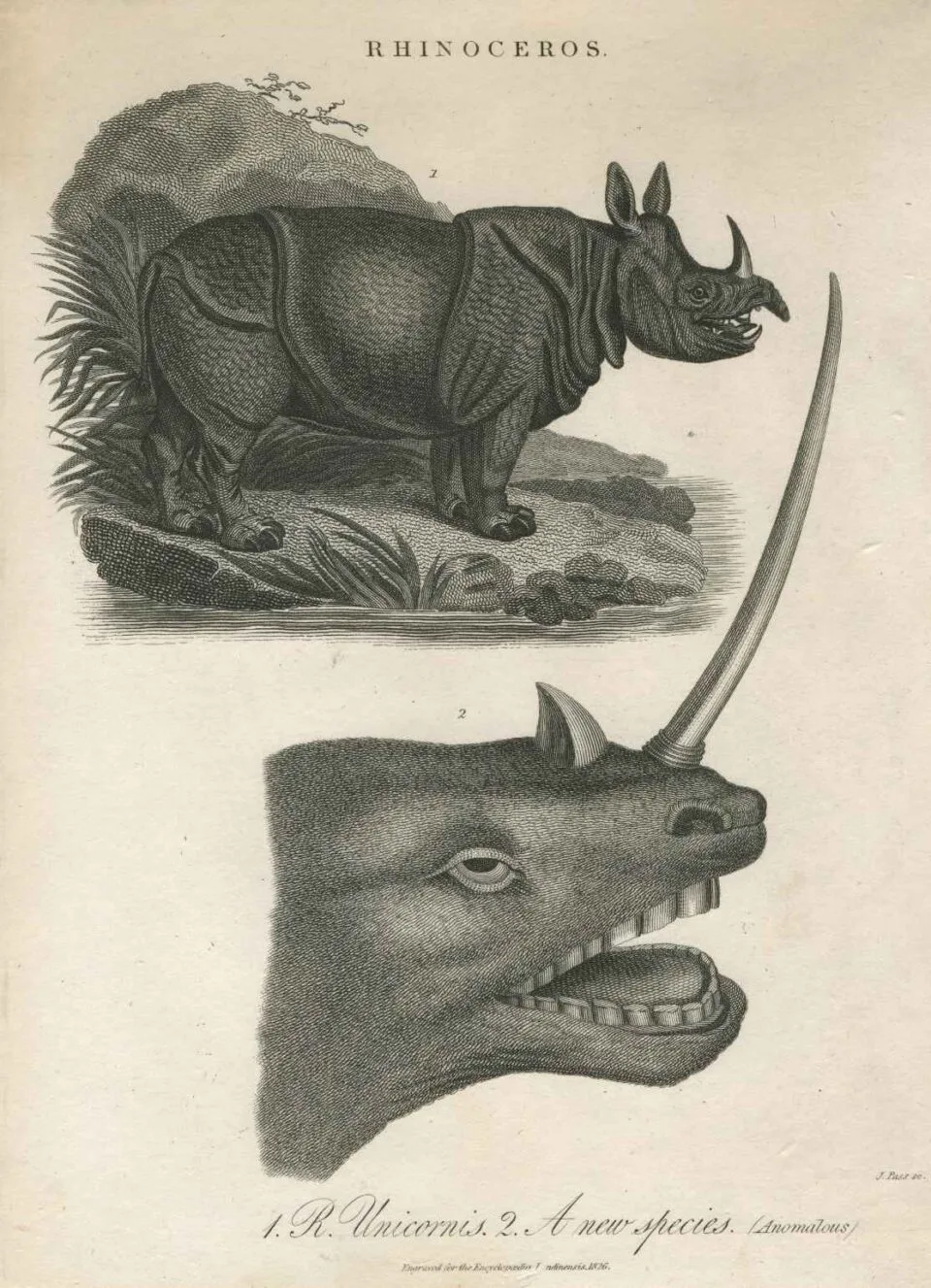 Cyclopaedia Londinensis