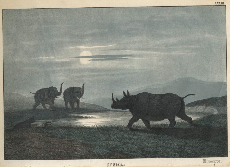 Instructive Picture Book