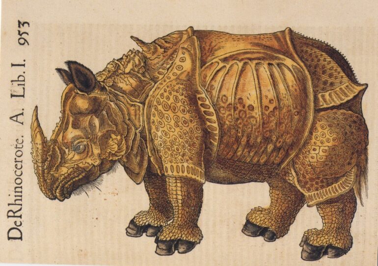 Gessner rhino