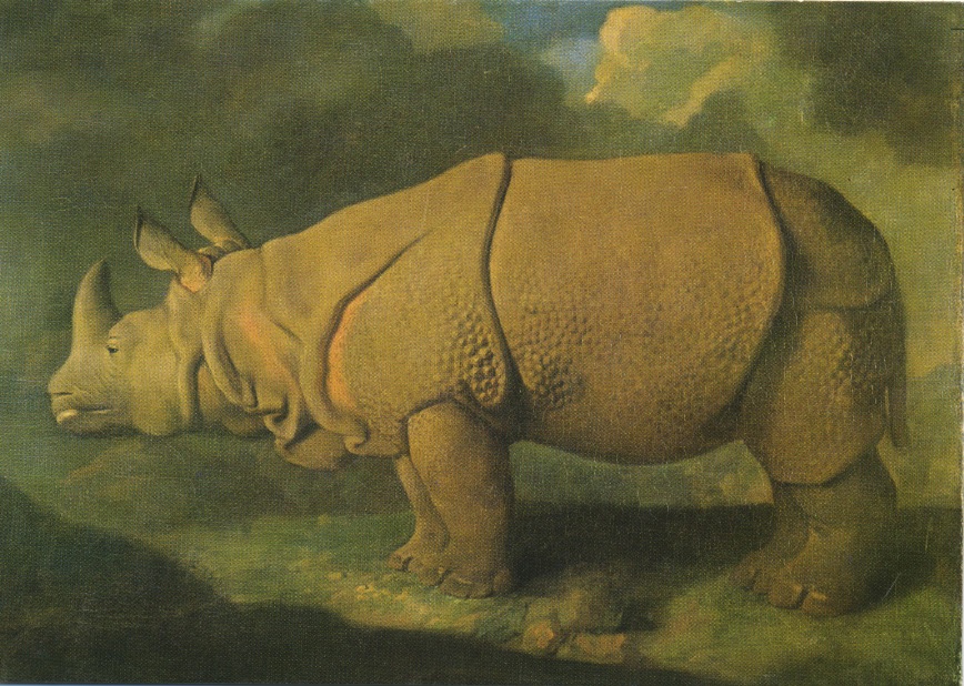 Stubb’s Exeter Change rhino