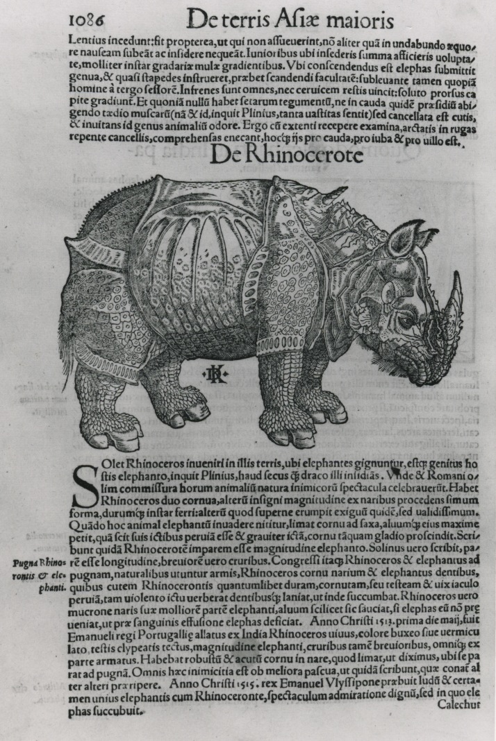 Munster 1552