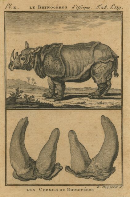 Supplement for Buffon