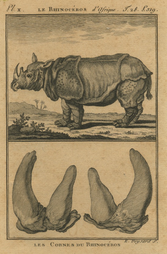 Supplement for Buffon