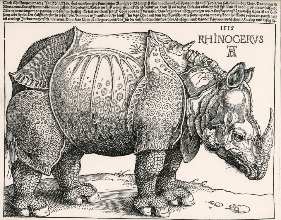 Durer’s rhino 1515