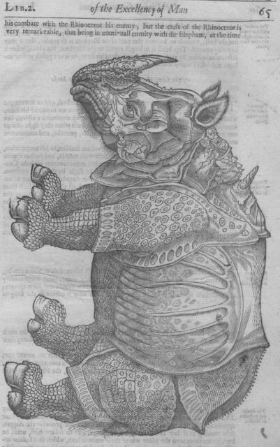 Ambroise Pare (Parey)