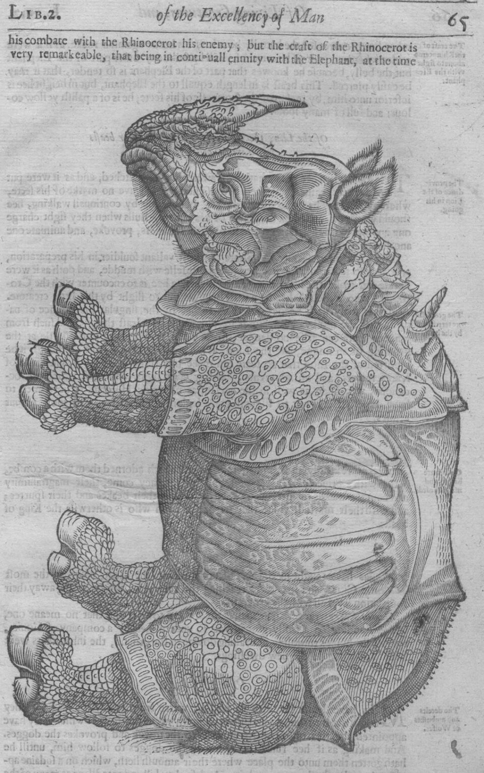 Ambroise Pare (Parey)