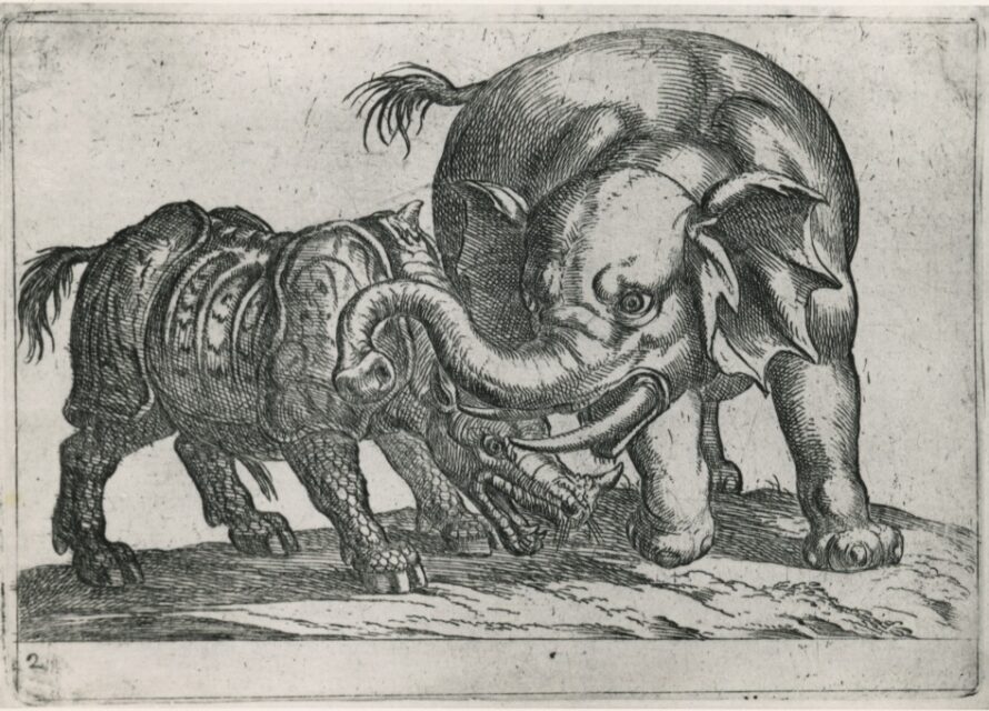 Tempesta combat scene