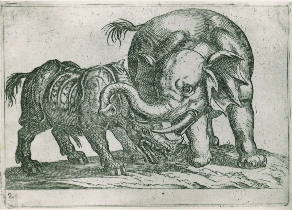 Tempesta combat scene