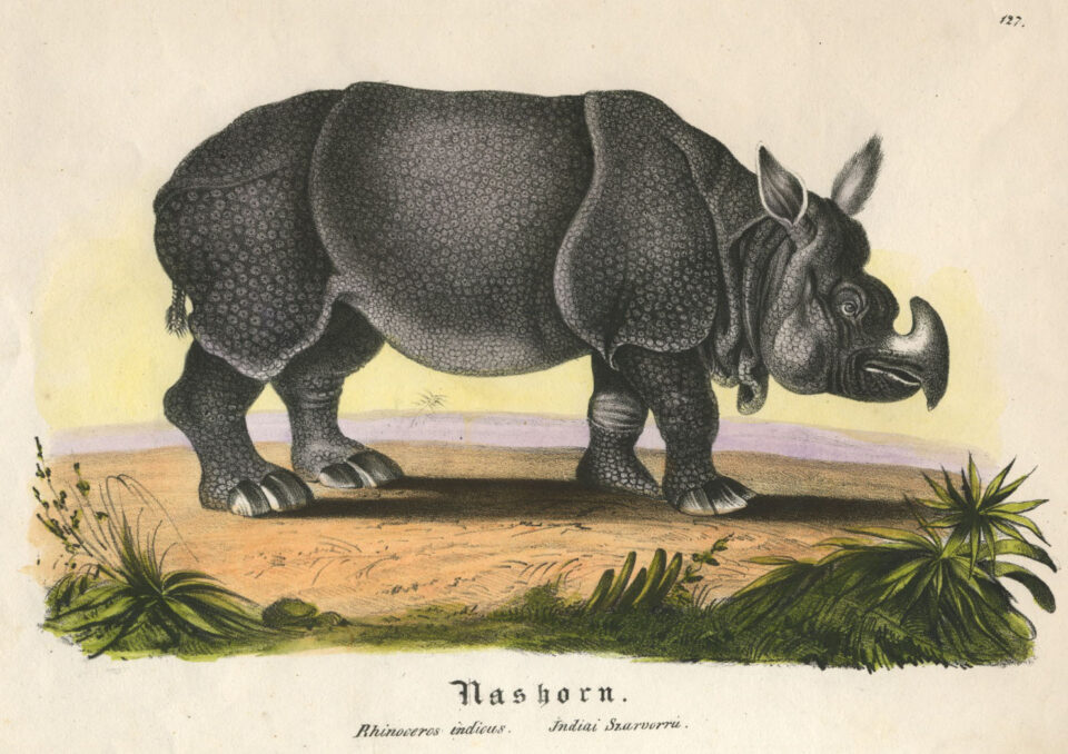 variant from Brodtman