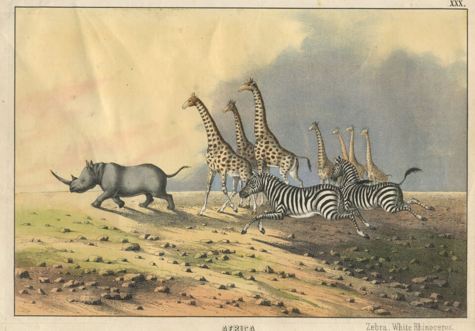 The Instructive Picture Book