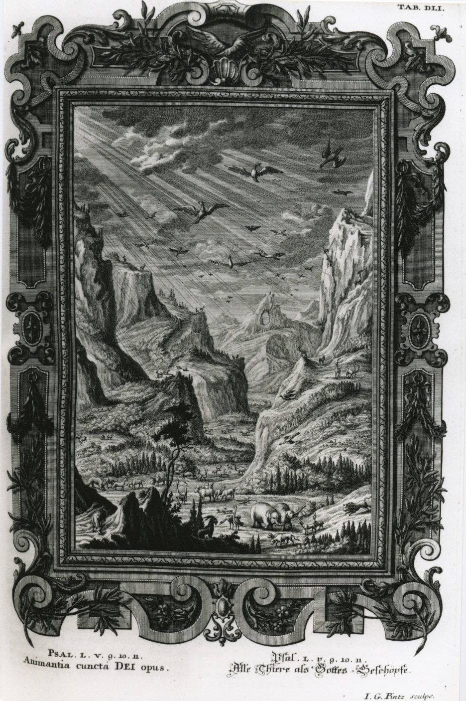 Scheuchzer creation scene