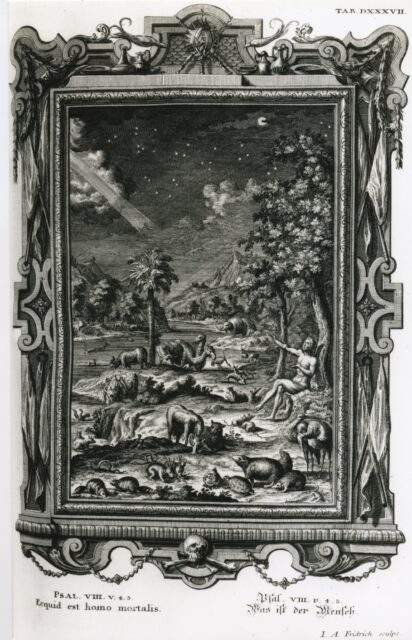 Scheuchzer God creates man