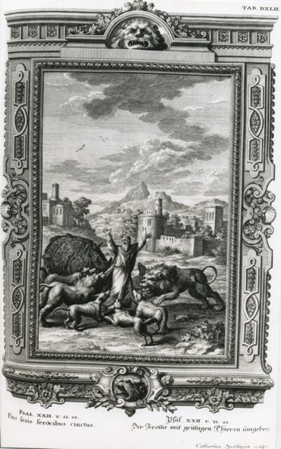 Scheuchzer interprets Psalm 22