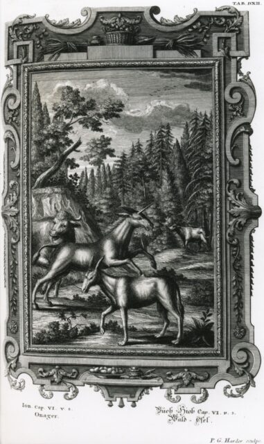 Scheuchzer illustrates Job