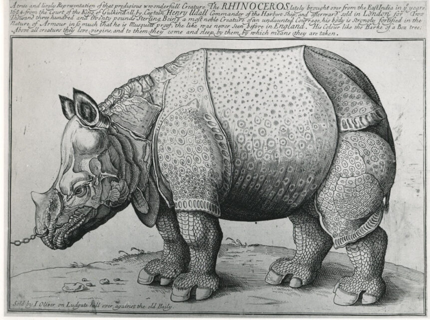 The first London rhino