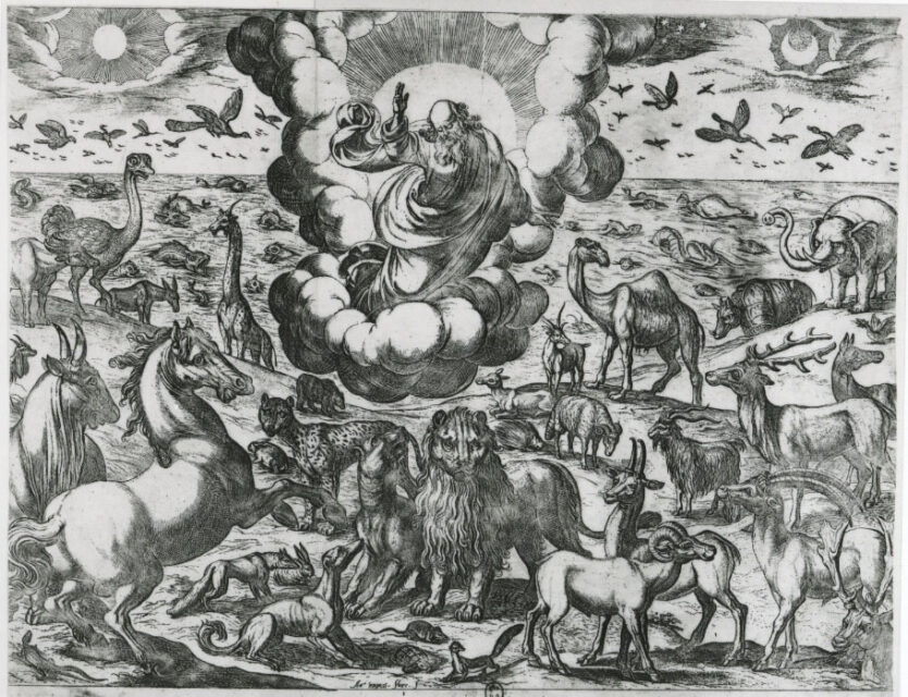 God creates the animals