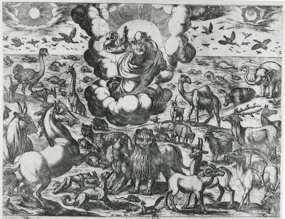 God creates the animals