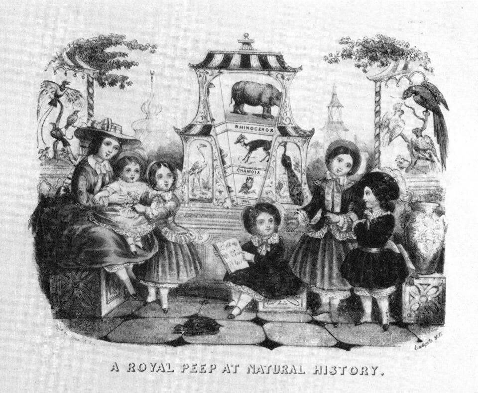 1850 Royal Peep