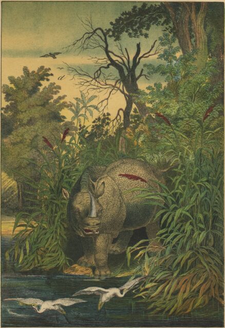 Instructive Picture Book