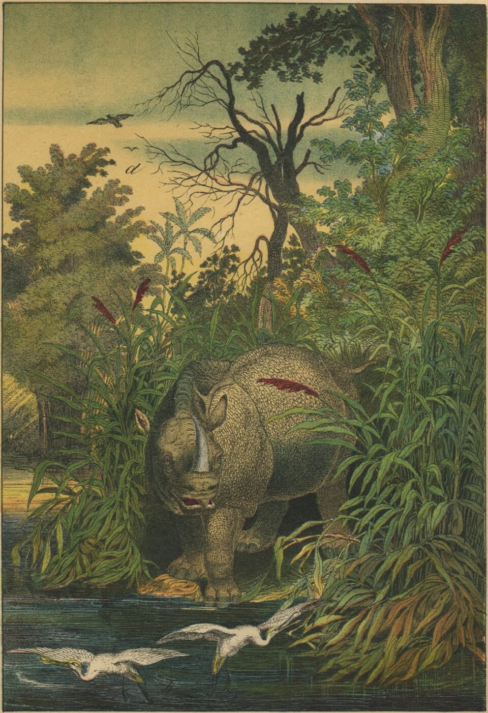 Instructive Picture Book