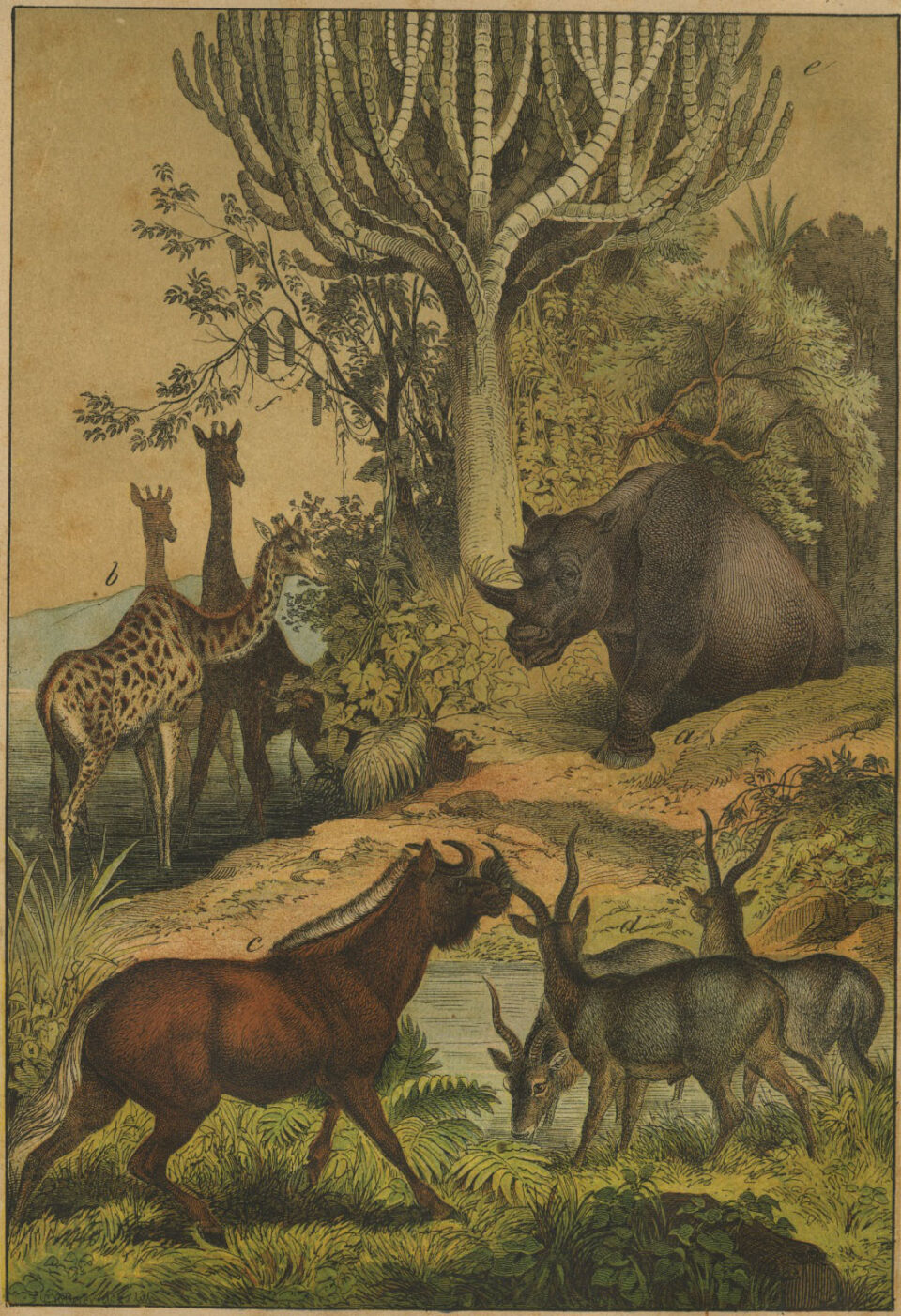 The Instructive Picture Book