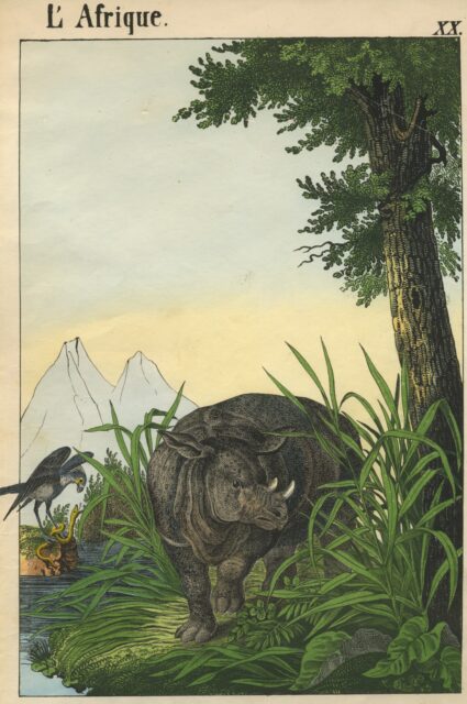 Children’s picture book