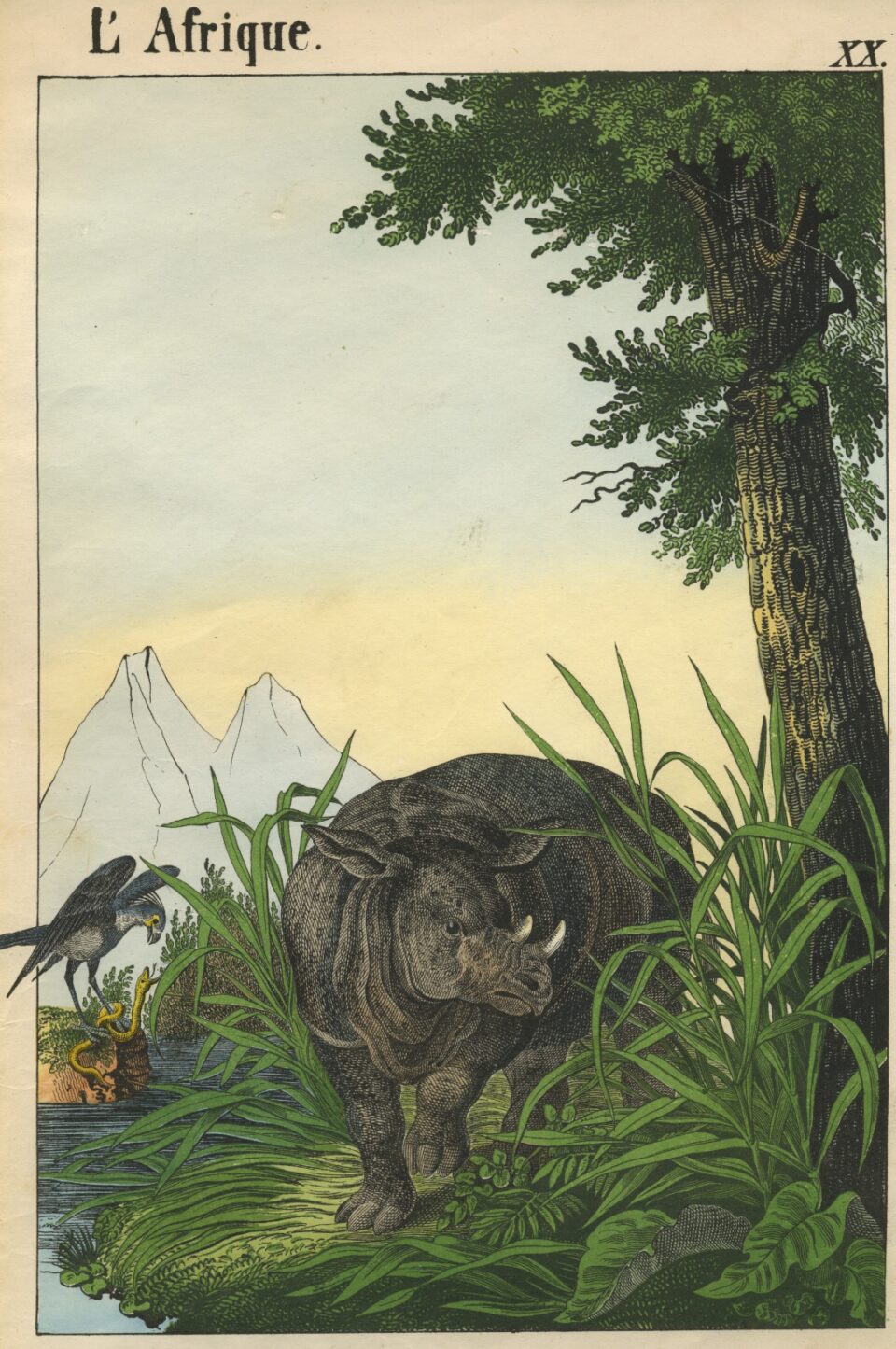 Children's picture book