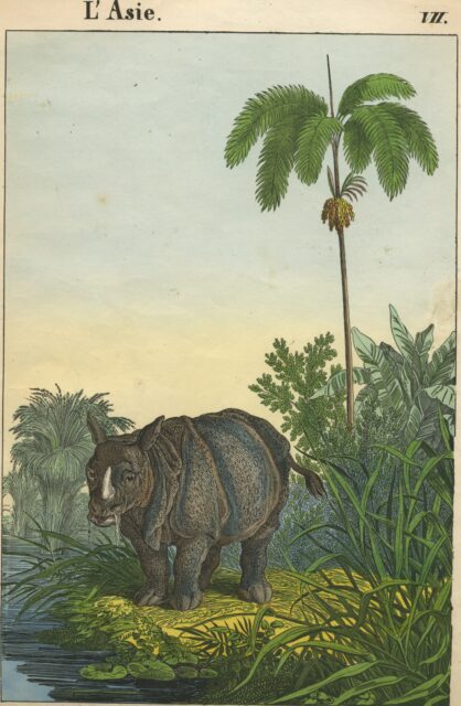 Children’s picture book