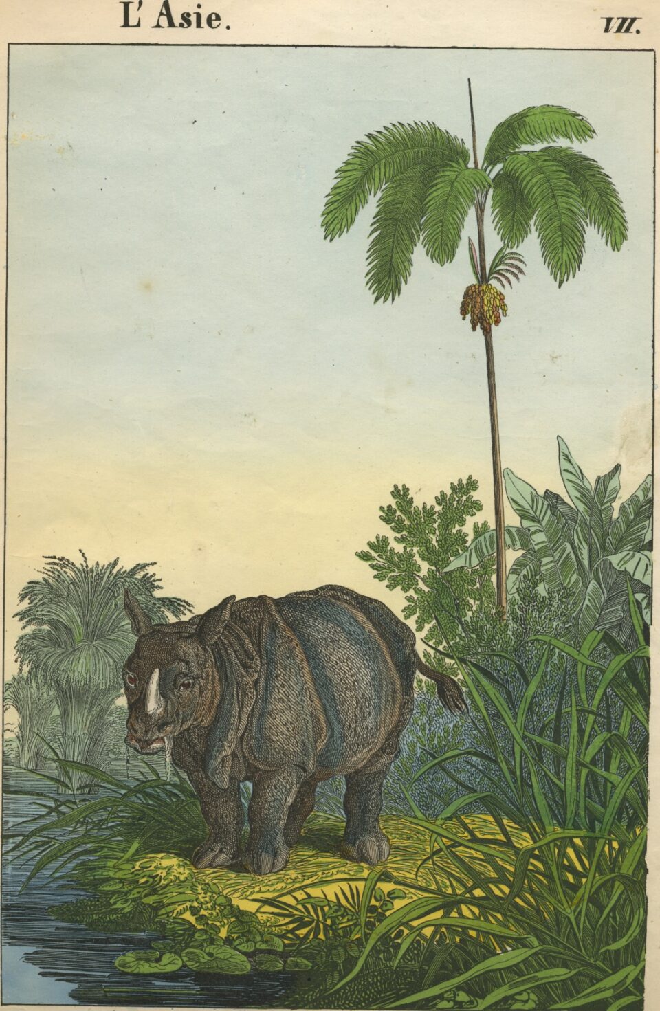 Children's picture book