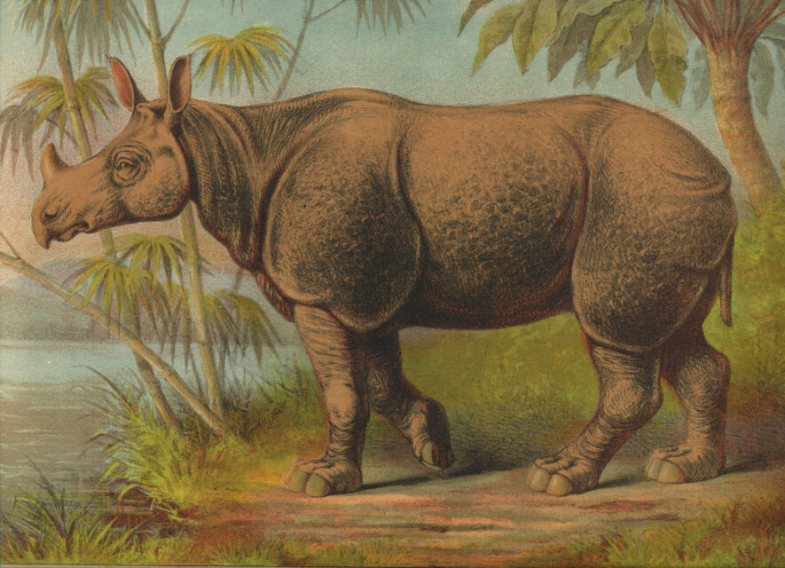 Routledge’s Picture Book