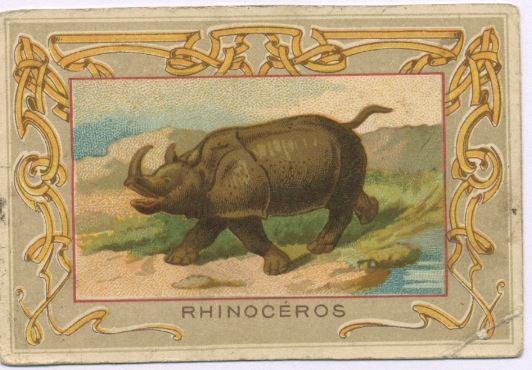 anonymous trading card