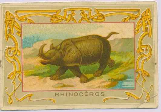 anonymous trading card