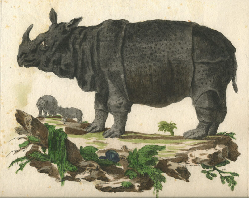 Alessandri and Scataglia 1771