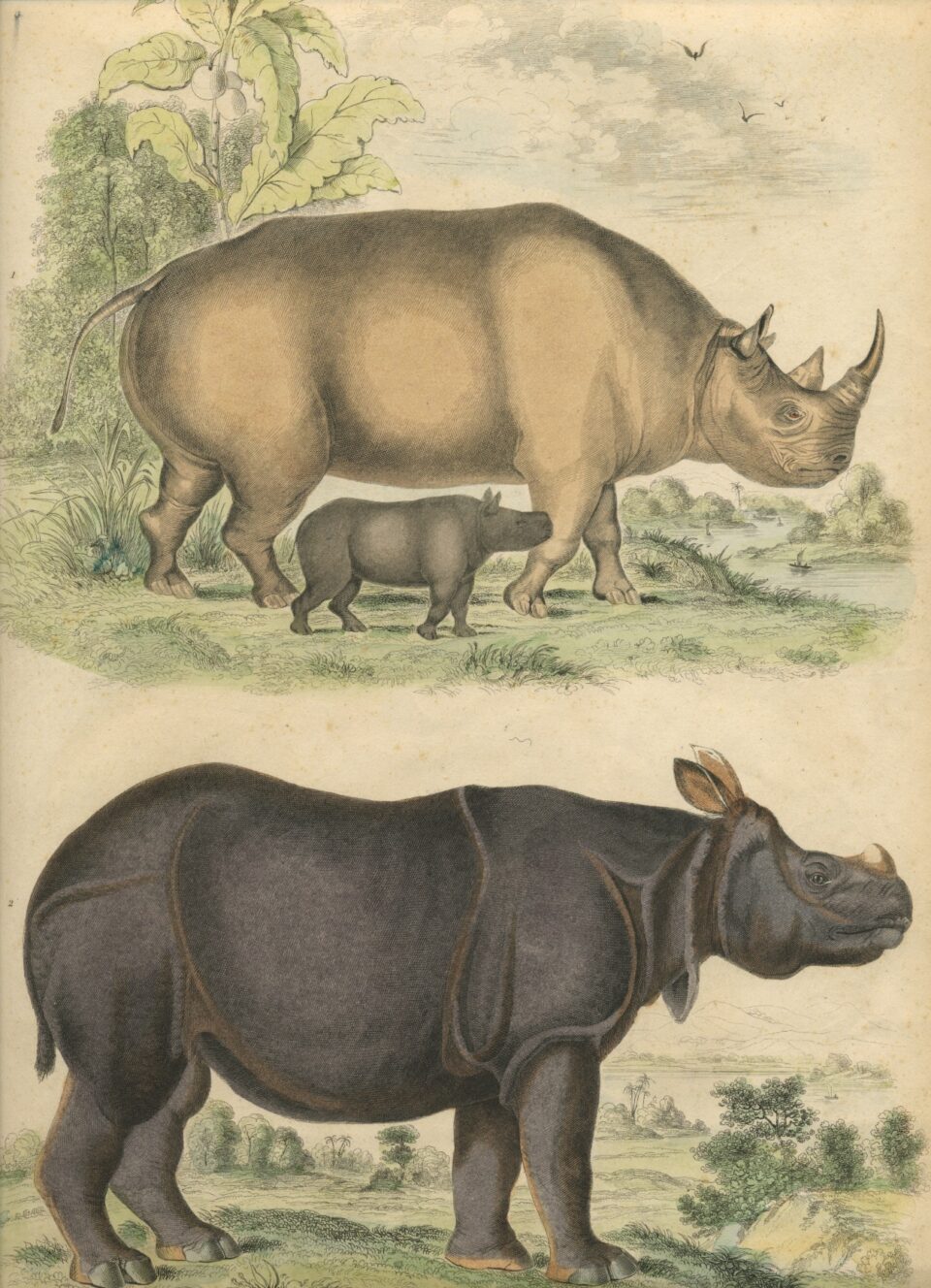 The Edinburgh Journal