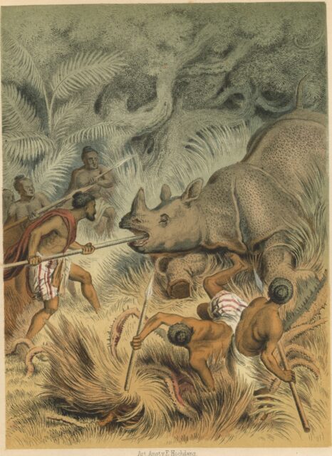 Hunting the Indian rhino in Laos